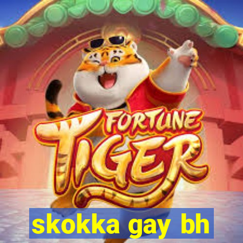 skokka gay bh