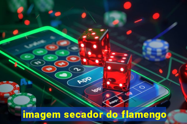 imagem secador do flamengo