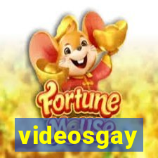 videosgay