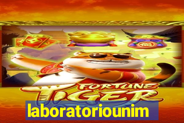 laboratoriounimedblumenau.com.br