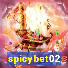 spicybet02