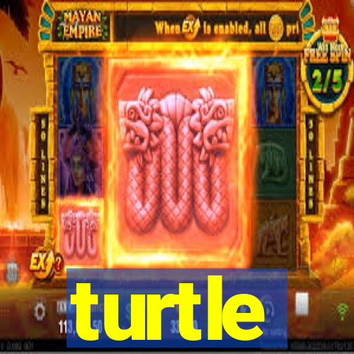 turtle-ty.com