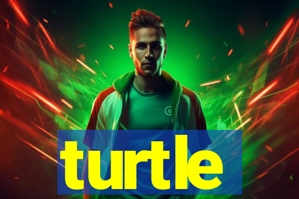 turtle-ty.com